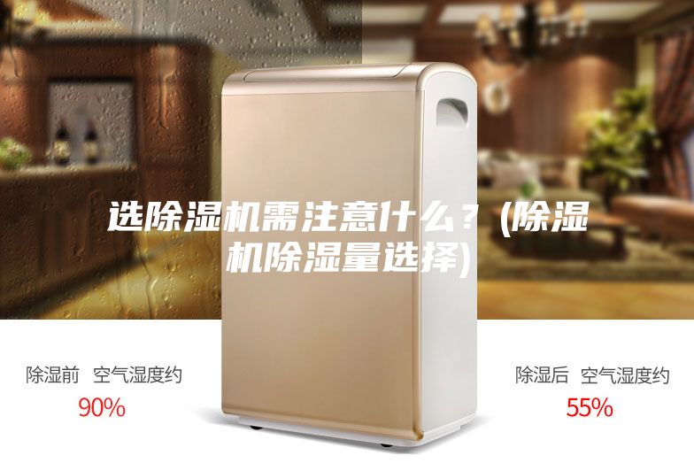 选除湿机需注意什么？(除湿机除湿量选择)