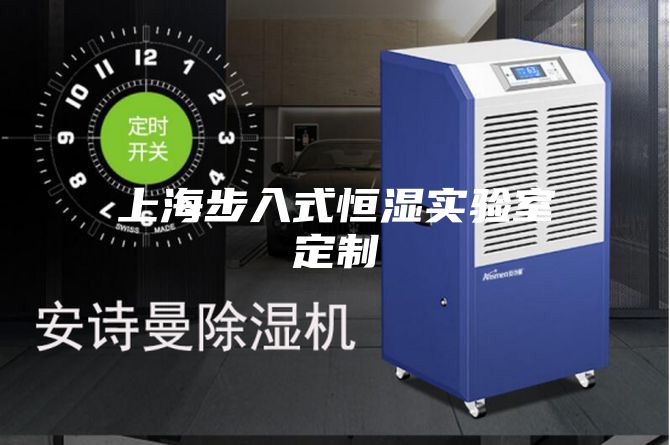 上海步入式恒湿实验室定制
