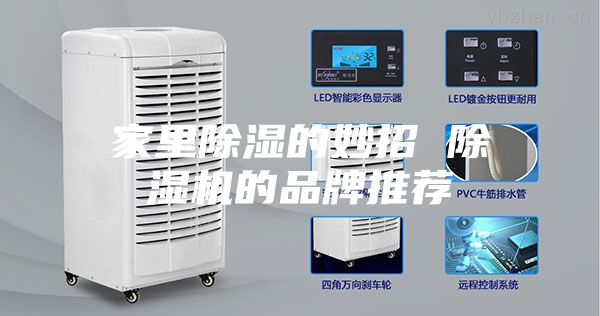 家里除湿的妙招 除湿机的品牌推荐