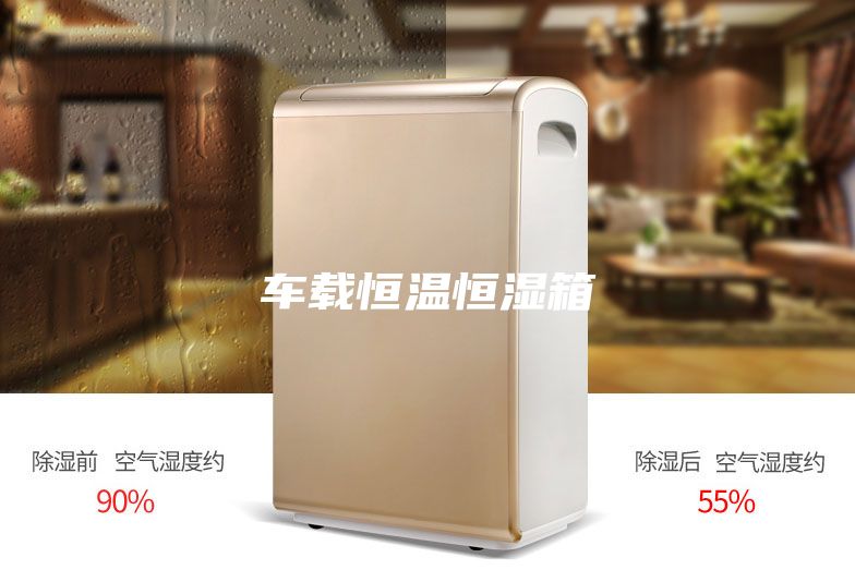 车载恒温恒湿箱