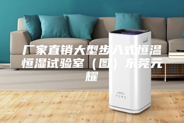 厂家直销大型步入式恒温恒湿试验室（图）东莞元耀