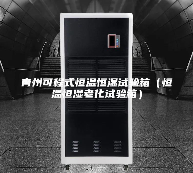 青州可程式恒温恒湿试验箱（恒温恒湿老化试验箱）