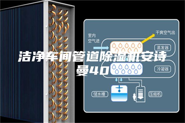 洁净车间管道除湿机安诗曼40