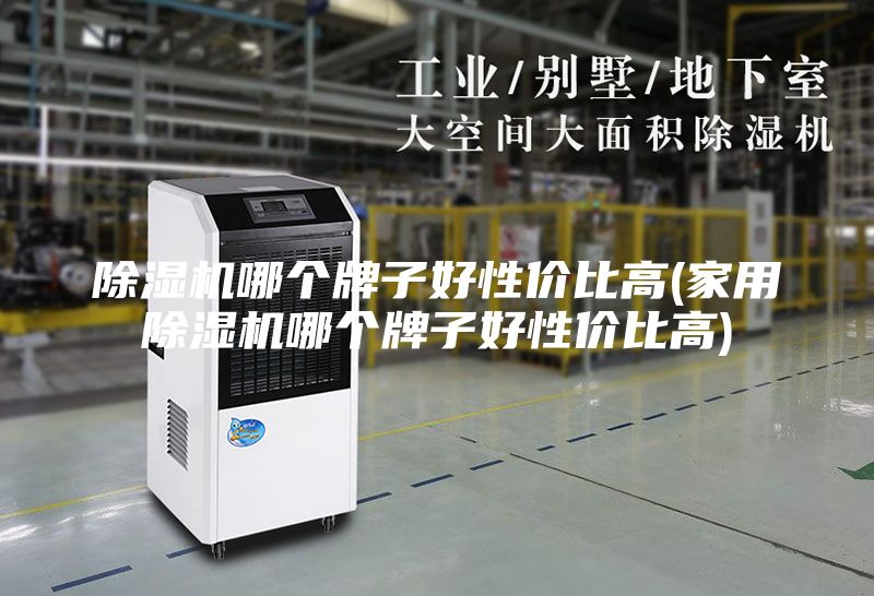 除湿机哪个牌子好性价比高(家用除湿机哪个牌子好性价比高)