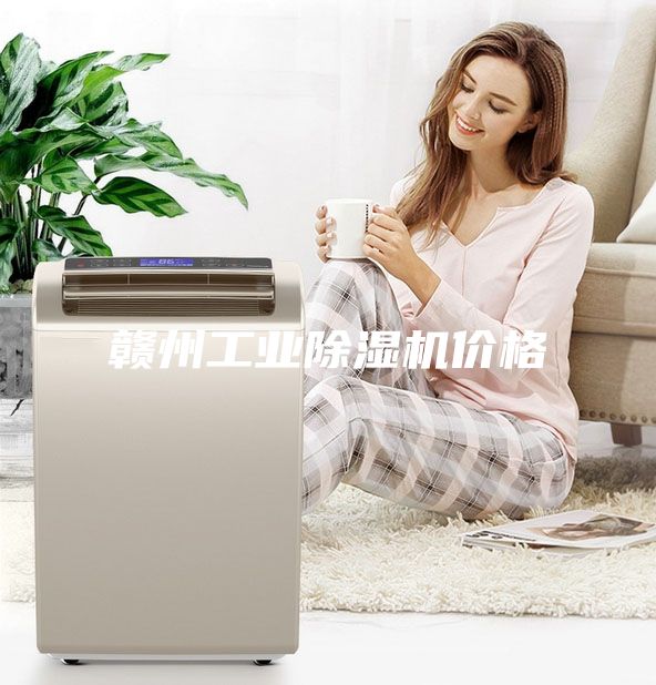赣州工业除湿机价格