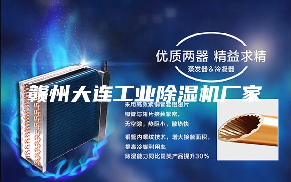 赣州大连工业除湿机厂家