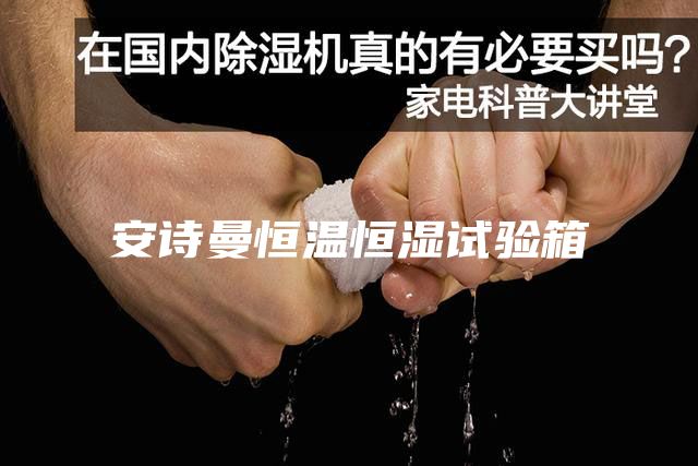 安诗曼恒温恒湿试验箱