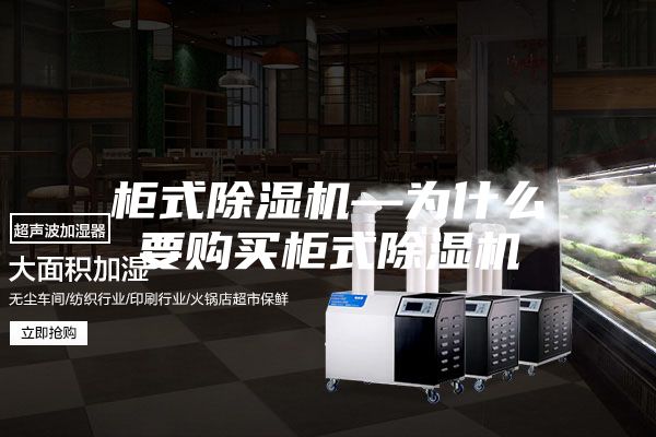 柜式除湿机—为什么要购买柜式除湿机