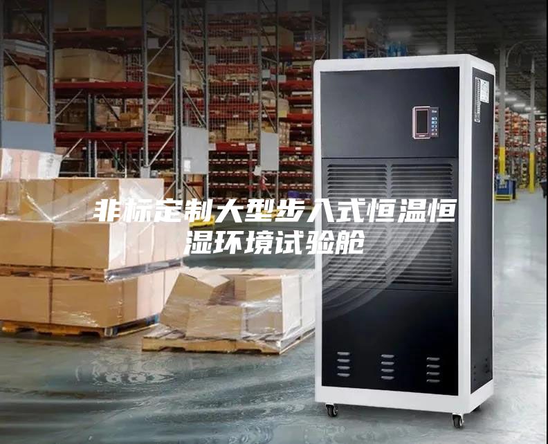 非标定制大型步入式恒温恒湿环境试验舱
