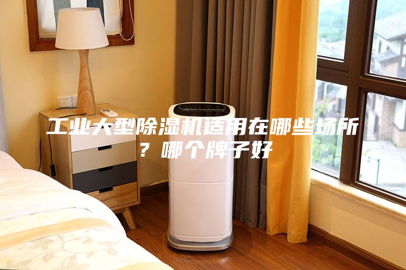 工业大型除湿机适用在哪些场所？哪个牌子好