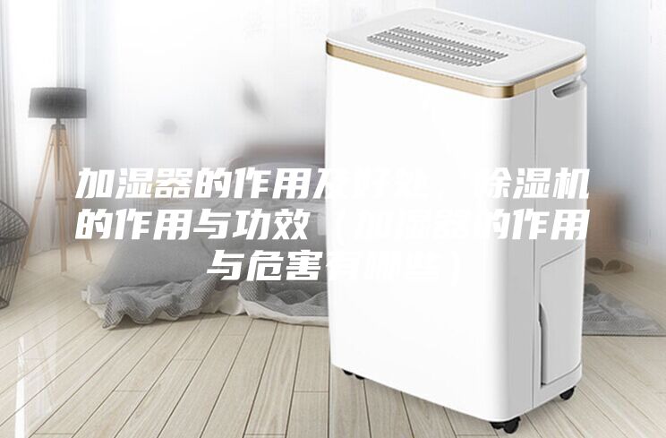 加湿器的作用及好处，除湿机的作用与功效（加湿器的作用与危害有哪些）