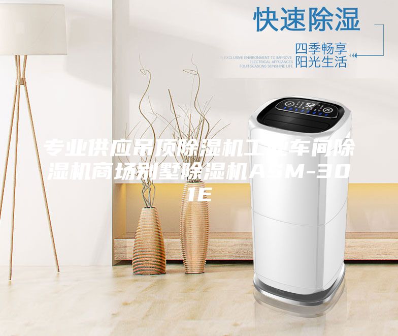 专业供应吊顶除湿机工业车间除湿机商场别墅除湿机ASM-301E