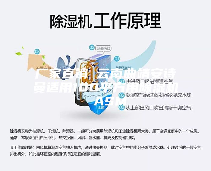 厂家直销 云南曲靖安诗曼适用100平方用除湿机 ASM