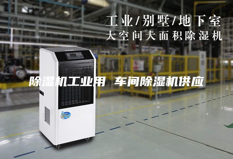 除湿机工业用 车间除湿机供应