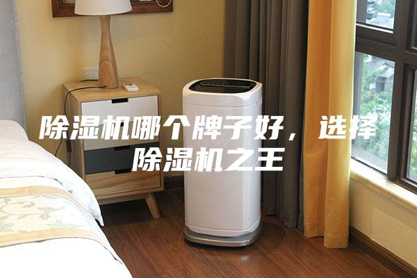 除湿机哪个牌子好，选择除湿机之王