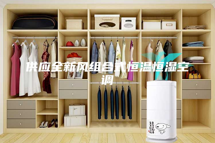 供应全新风组合式恒温恒湿空调