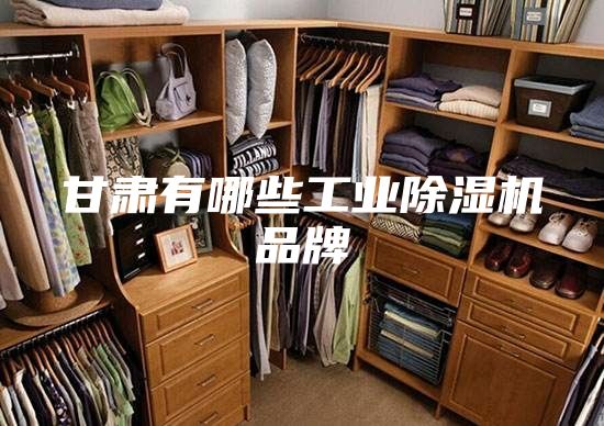 甘肃有哪些工业除湿机品牌