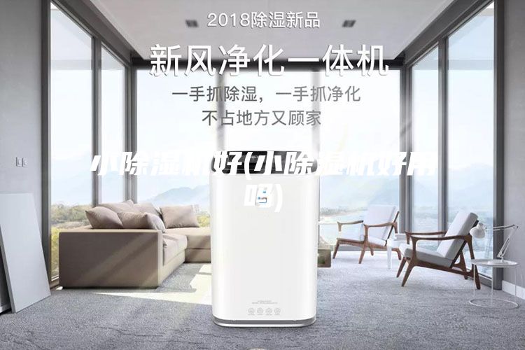 小除湿机好(小除湿机好用吗)