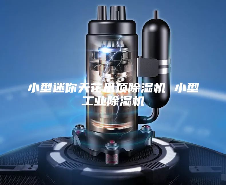 小型迷你天花吊顶除湿机 小型工业除湿机