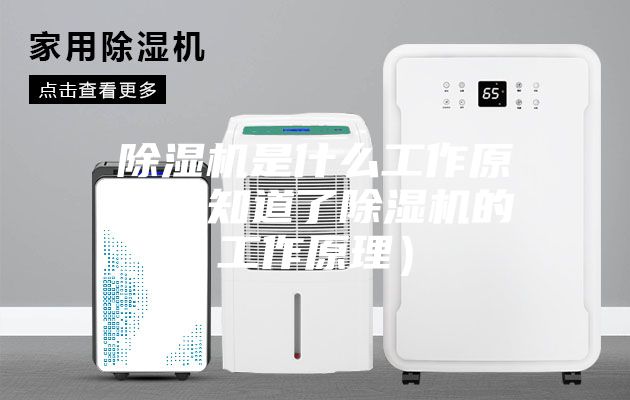 除湿机是什么工作原理（知道了除湿机的工作原理）