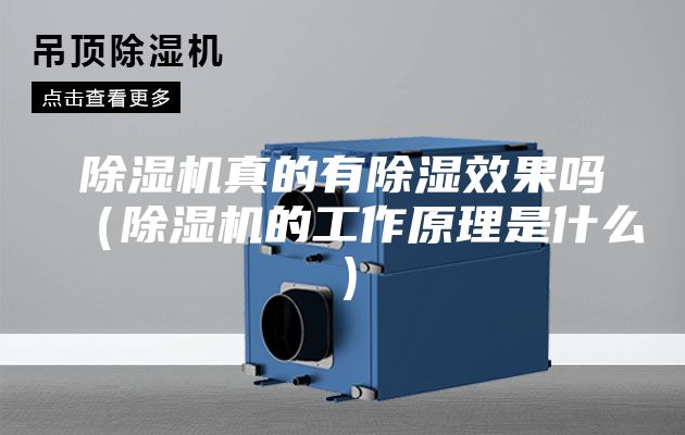 除湿机真的有除湿效果吗（除湿机的工作原理是什么）