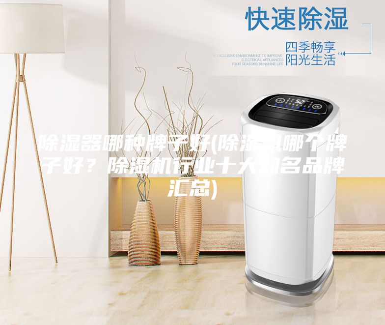 除湿器哪种牌子好(除湿机哪个牌子好？除湿机行业十大知名品牌汇总)