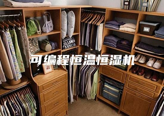 可编程恒温恒湿机