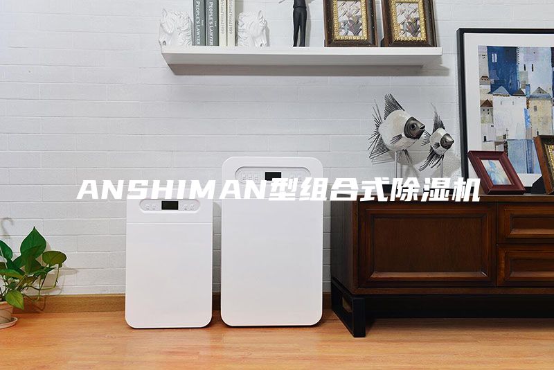 ANSHIMAN型组合式除湿机