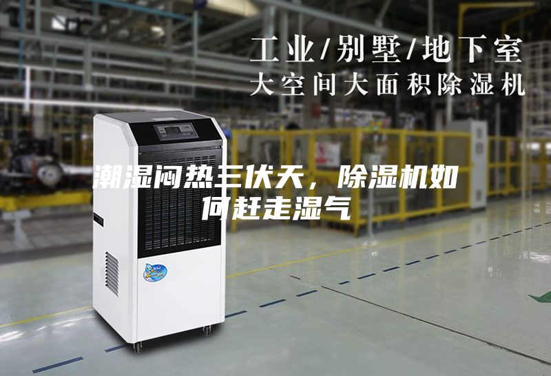 潮湿闷热三伏天，除湿机如何赶走湿气