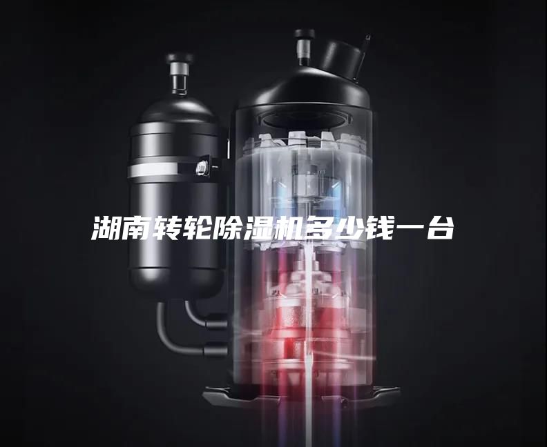 湖南转轮除湿机多少钱一台