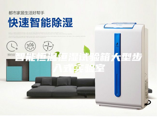 智能恒温恒湿试验箱大型步入式实验室