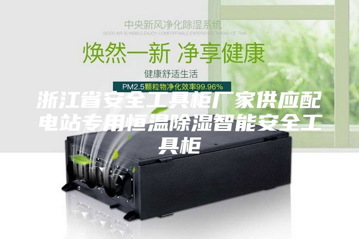 浙江省安全工具柜厂家供应配电站专用恒温除湿智能安全工具柜