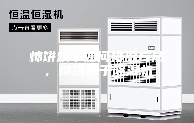 柿饼烘干如何排湿方法，柿饼烘干除湿机