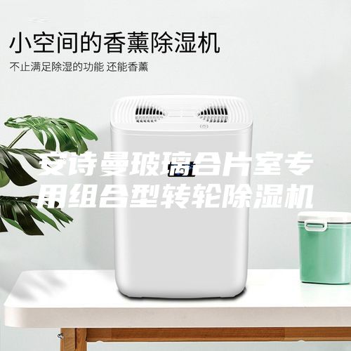 安诗曼玻璃合片室专用组合型转轮除湿机