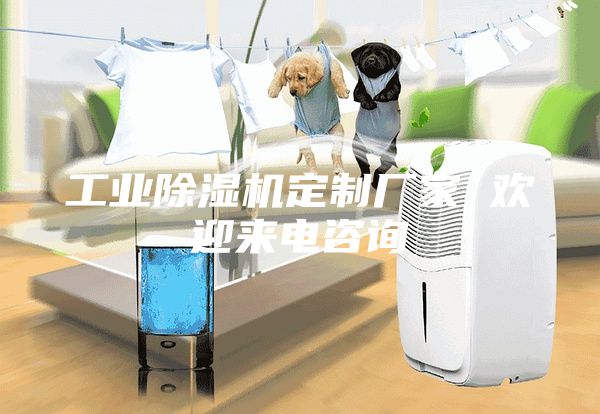 工业除湿机定制厂家 欢迎来电咨询
