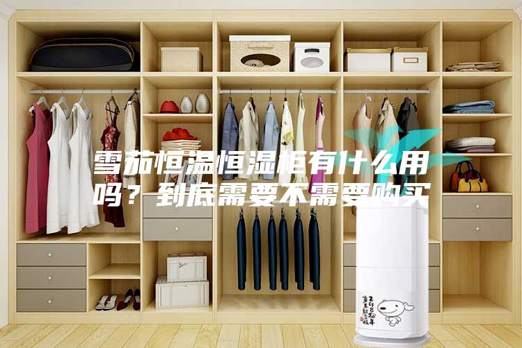 雪茄恒温恒湿柜有什么用吗？到底需要不需要购买