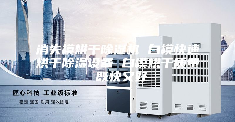 消失模烘干除湿机 白模快速烘干除湿设备 白模烘干质量 既快又好
