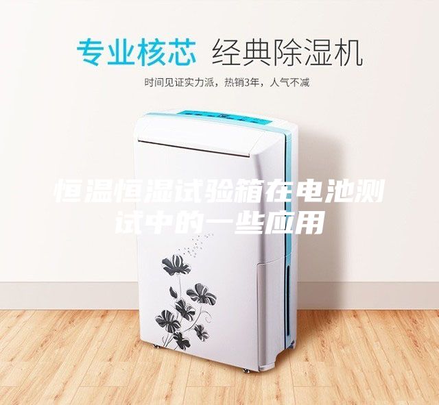 恒温恒湿试验箱在电池测试中的一些应用