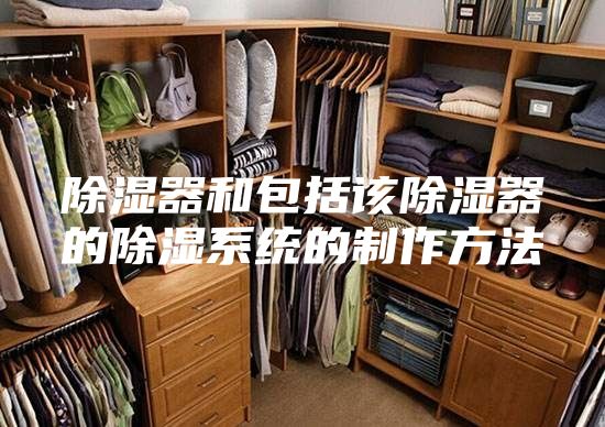 除湿器和包括该除湿器的除湿系统的制作方法