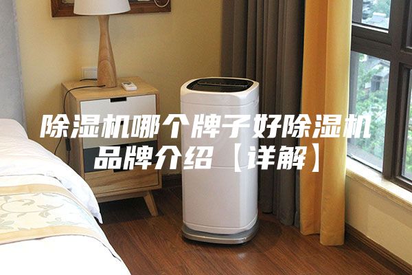 除湿机哪个牌子好除湿机品牌介绍【详解】