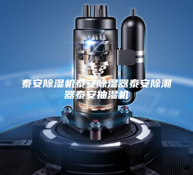 泰安除湿机泰安除湿器泰安除潮器泰安抽湿机
