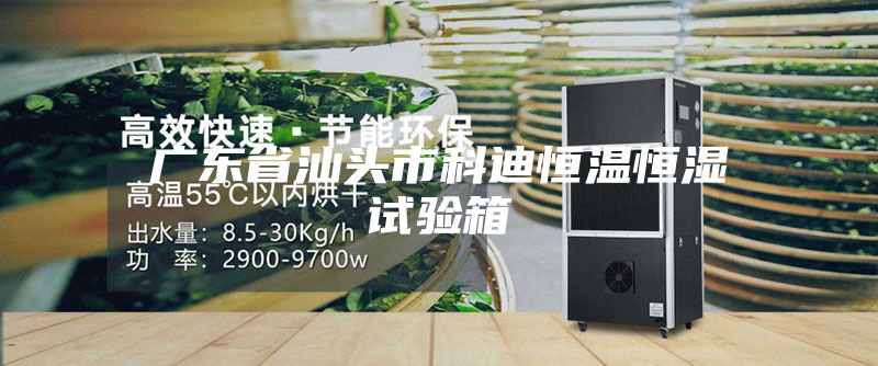 广东省汕头市科迪恒温恒湿试验箱