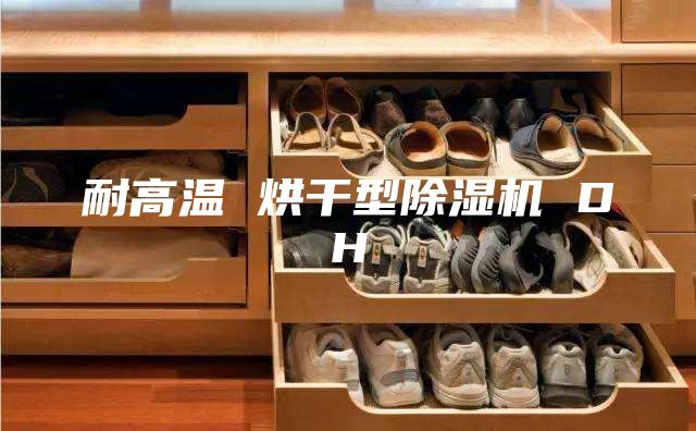 耐高温 烘干型除湿机 DH