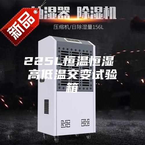 225L恒温恒湿 高低温交变试验箱