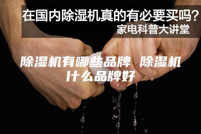 除湿机有哪些品牌 除湿机什么品牌好