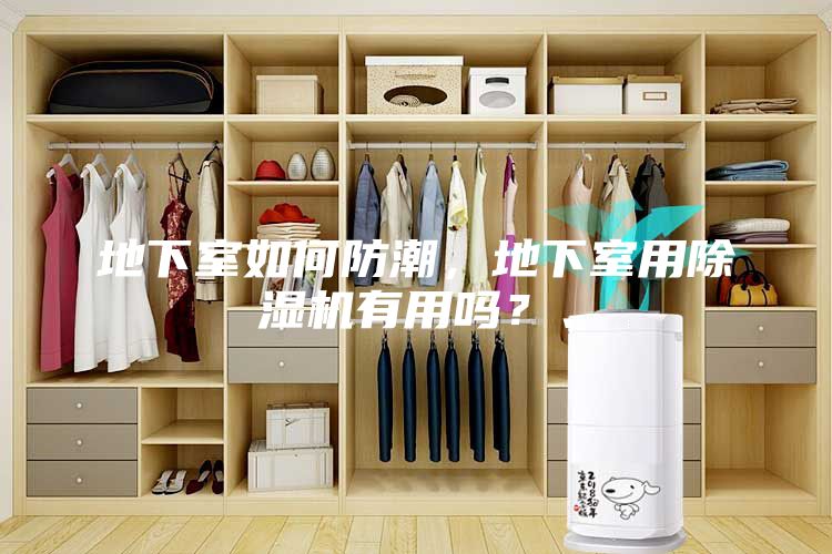 地下室如何防潮，地下室用除湿机有用吗？、