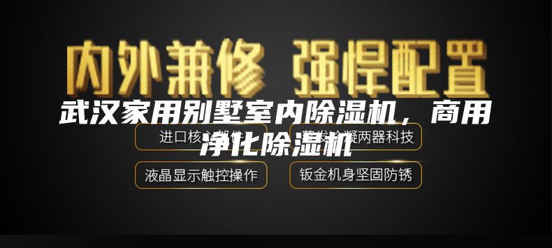 武汉家用别墅室内除湿机，商用净化除湿机