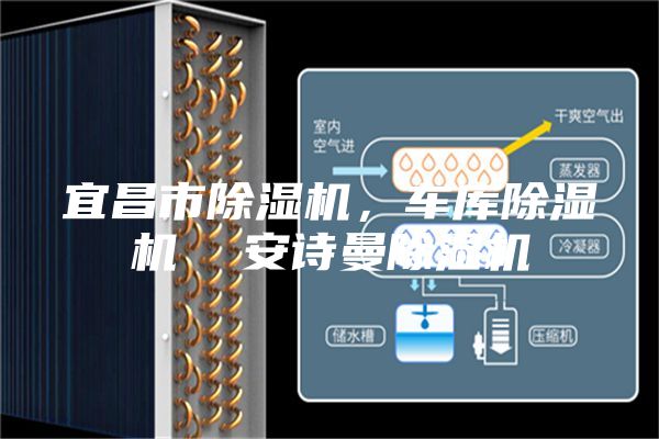 宜昌市除湿机，车库除湿机  安诗曼除湿机