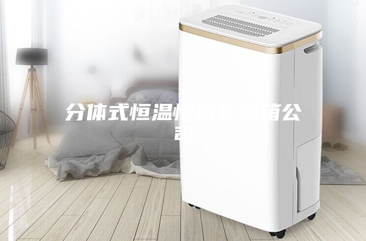 分体式恒温恒湿实验箱公司