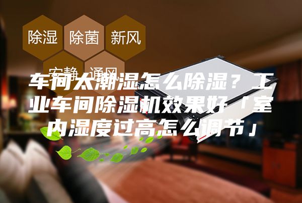车间太潮湿怎么除湿？工业车间除湿机效果好「室内湿度过高怎么调节」